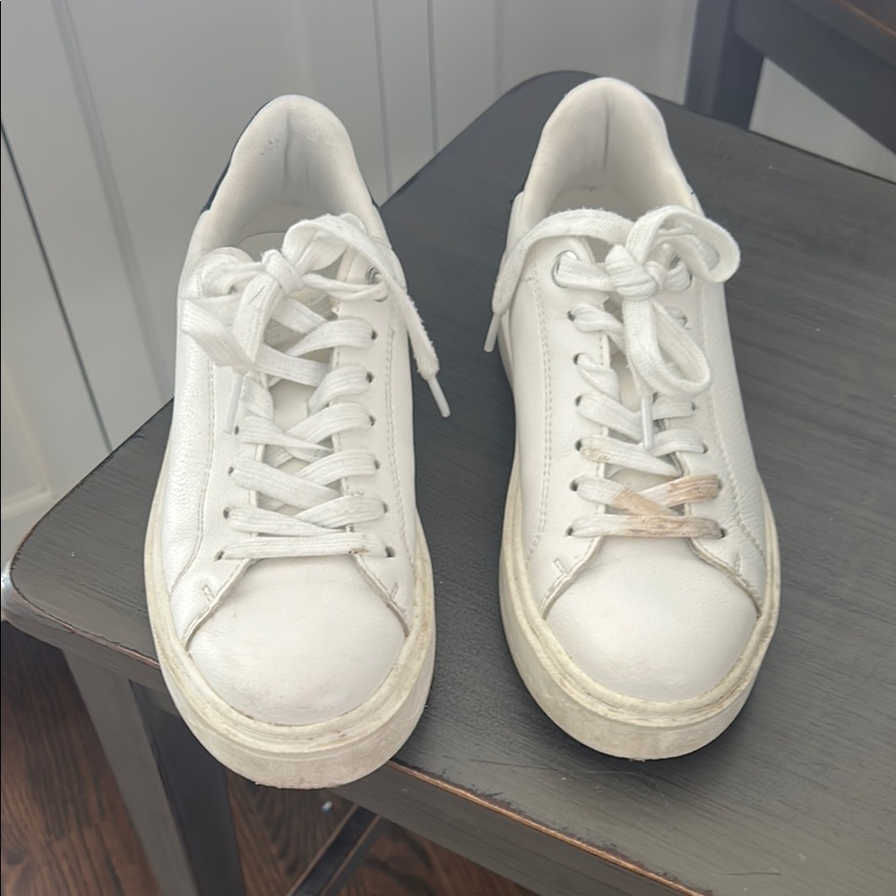 Steve Madden White Sneakers Classic Minimalist Design